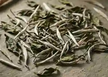 Bạch Hào Ngân Châm - Tinh Hoa Trà Trắng Dành Cho Người Thưởng Trà Sành Điệu