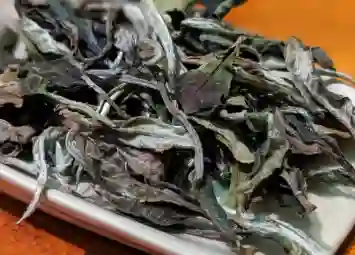 Bạch Trà Mẫu Đơn Hạ Khai Tử Nha Đơn: Hương Thơm, Vị Trà Và Hậu Vị Có Gì Đặc Biệt?