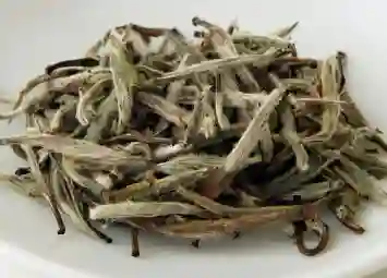 Đặc Điểm Nhận Biết Trà Bạch Hào Ngân Châm Chuẩn Chất Lượng