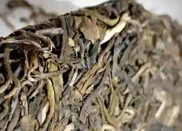 Đặc Trưng Hương Vị Và Cách Thưởng Trà Phổ Nhĩ Sống Vô Lượng Sơn Bí Cảnh