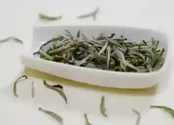 Lợi Ích Sức Khỏe Nổi Bật Của Bạch Trà Bạn Nên Biết