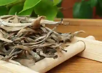 Những Ai Nên Và Không Nên Uống Trà Shan Tuyết