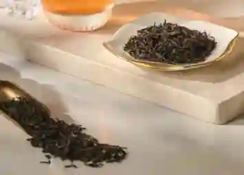 Phượng Hoàng Đơn Tùng Áp Thỉ Hương - Hương Thơm Tinh Tế Và Giá Trị Vượt Thời Gian