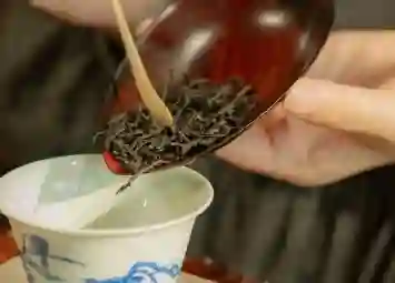 Trà Phượng Hoàng Đơn Tùng - Trà Quý Hiếm Từ Trung Hoa