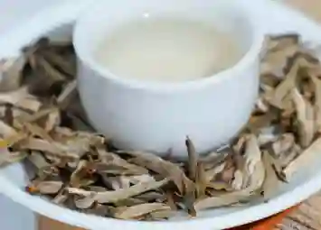 Uống Bạch Trà Tiên Có Tác Dụng Gì Đối Với Sức Khỏe?