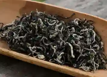 Uống Lục Trà Shan Tuyết Có Tốt Không? 5 Lợi Ích Cho Sức Khỏe