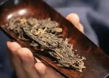 Vùng Trà Lão Ban Chương - Dấu Ấn Vùng Đất Làm Nên Danh Tiếng