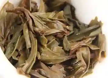 Vùng Trà Vô Lượng Sơn - Nơi Núi Rừng Tạo Nên Hương Trà Riêng