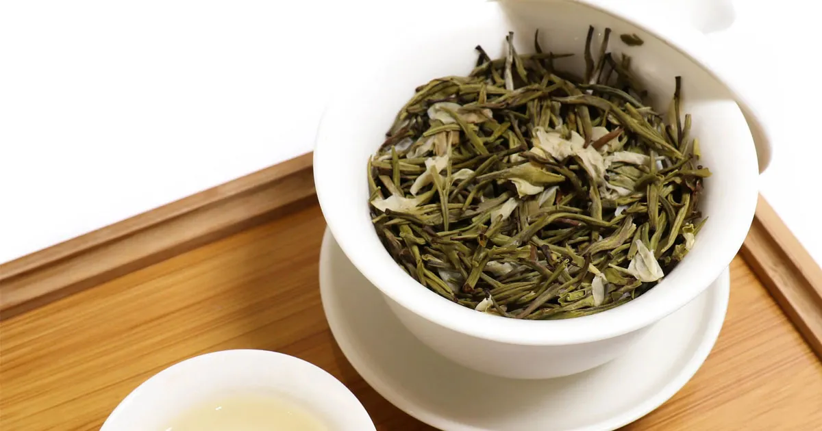 Ai Nên Uống Bạch Trà? Đối Tượng Phù Hợp Và Lưu Ý Quan Trọng
