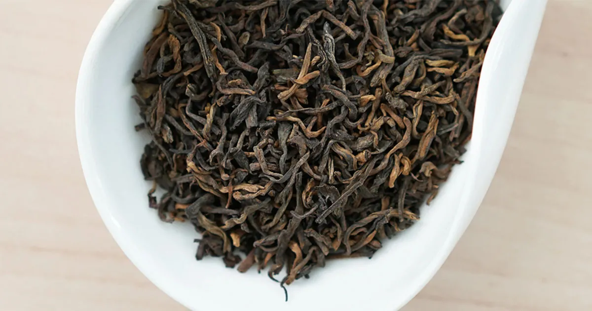 Bảo Quản Phổ Nhĩ Chín Đúng Cách Để Giữ Mùi Đất Sạch - Ấm - Ngọt