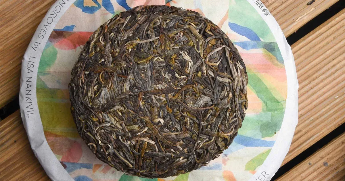 Bảo quản Phổ Nhĩ Sống trong khí hậu Việt Nam: Tránh mốc - Tránh ẩm - Tránh sốc nhiệt