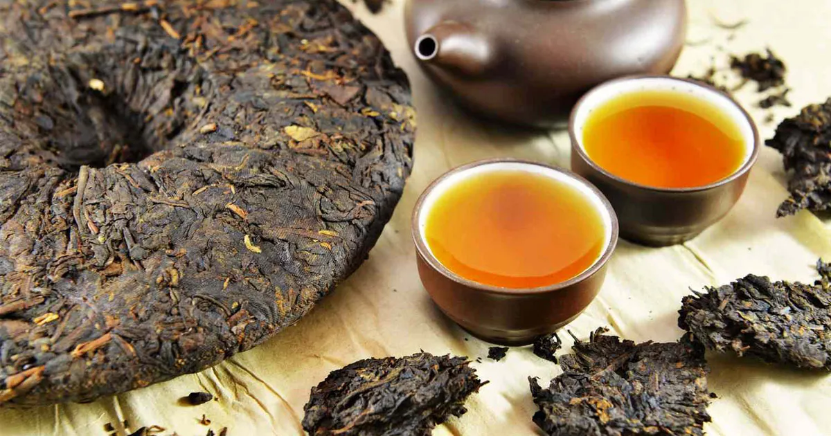 Chọn Phổ Nhĩ Chín Uống Hằng Ngày: Dạng Bánh - Dạng Viên - Loại Rời, Loại Nào Tiện Nhất?