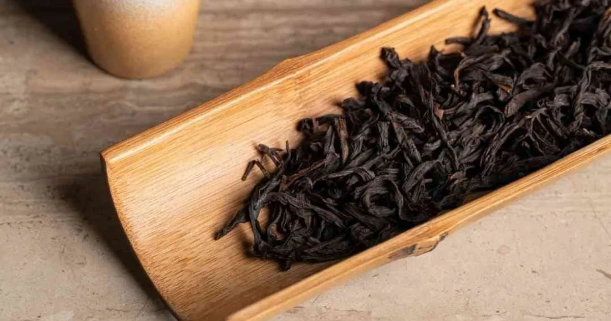 Công Dụng Của Trà Phượng Hoàng Đơn Tùng Lão Với Sức Khỏe Và Tâm Thần