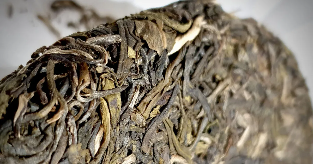 Đặc Trưng Hương Vị Và Cách Thưởng Trà Phổ Nhĩ Sống Vô Lượng Sơn Bí Cảnh