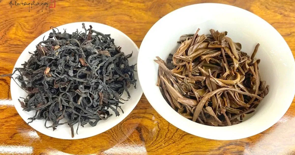 Hồng Trà Hồng Mai Tử Trà Có Gì Đặc Biệt So Với Các Loại Hồng Trà Khác?