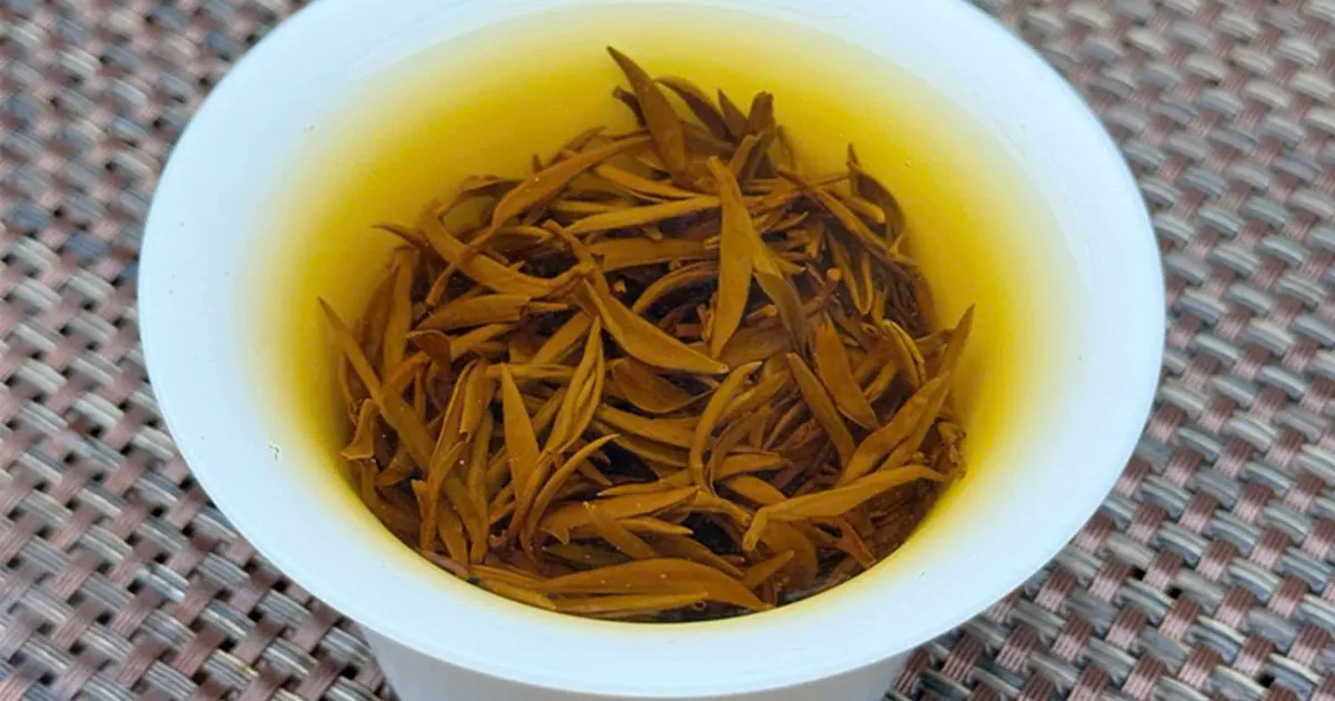 Hồng Trà Kim Tuấn Mi - Tinh Hoa Hội Tụ Trong Từng Búp Trà
