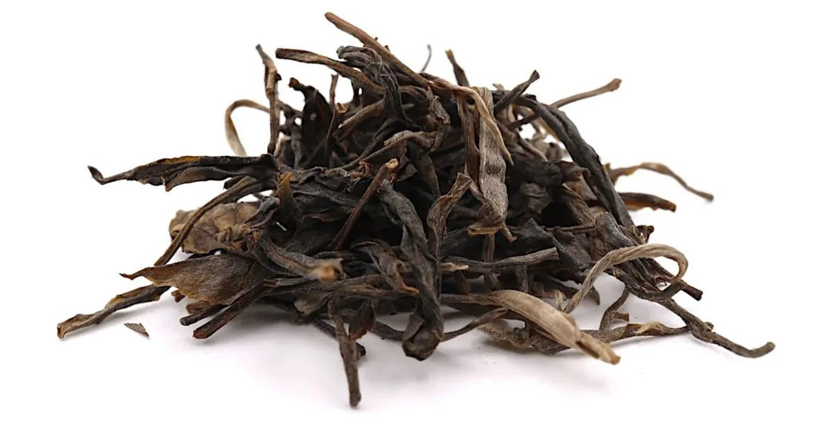Hương Vị Trà Phổ Nhĩ Sống Lão Ban Chương Có Gì Đặc Trưng?