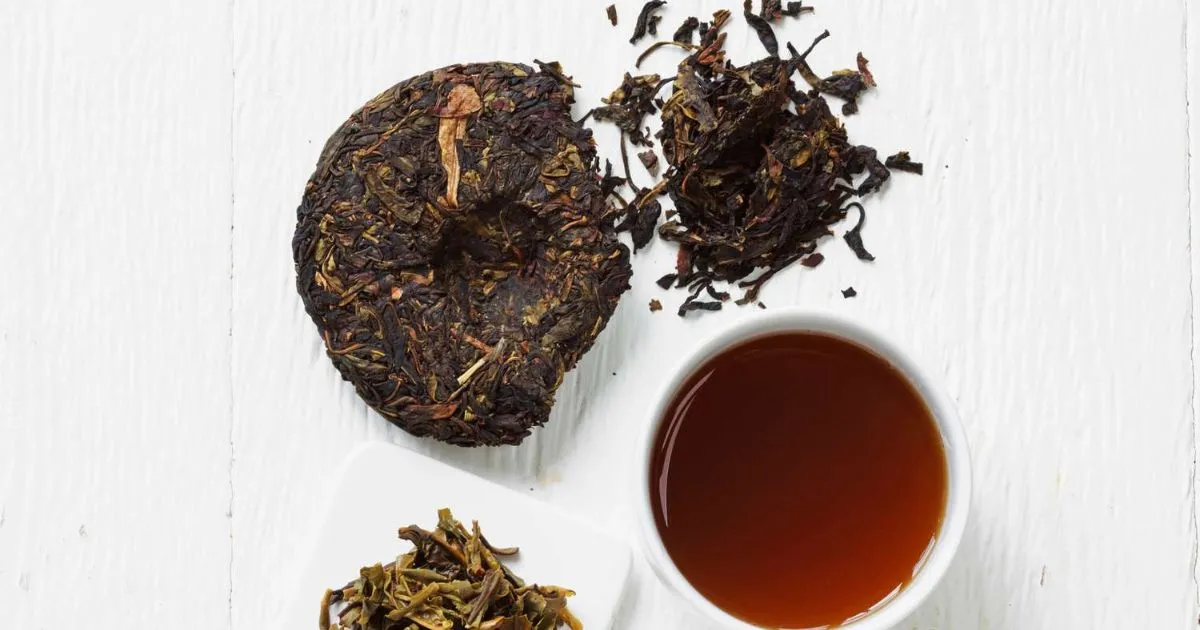 Mua Trà Phổ Nhĩ Hà Giang Ở Đâu Chất Lượng, Uy Tín?
