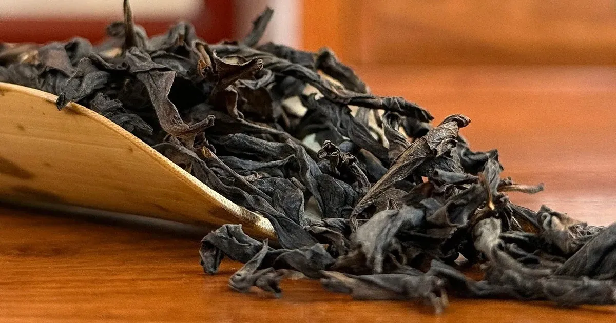 Nham Trà Nhục Quế - Tinh Hoa Hương Quế Trong Từng Ngụm Trà