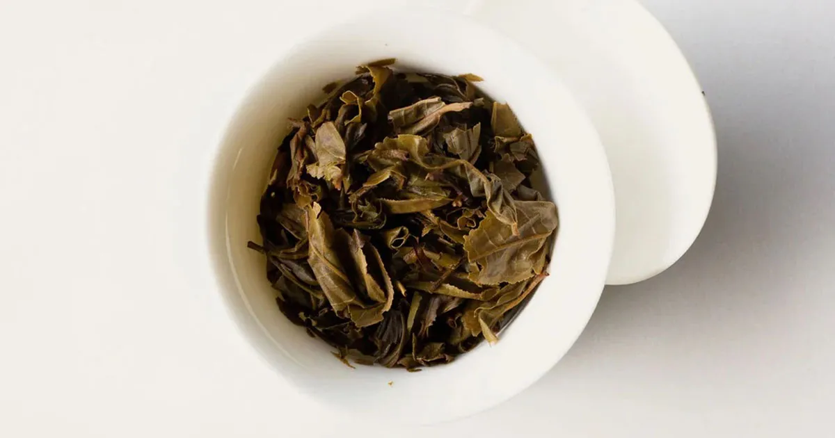 Pha Phổ Nhĩ Sống Sao Cho Vị Bớt Gắt: Hướng Dẫn Cho Người Mới