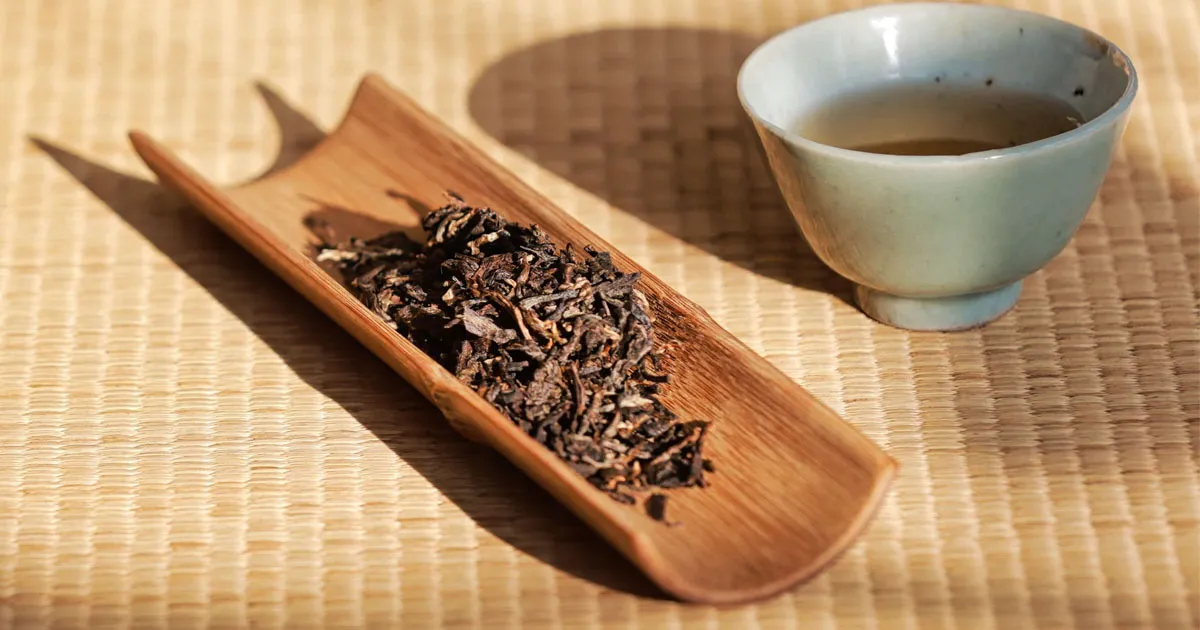 Phổ Nhĩ Sống Vô Lượng Sơn Bí Cảnh - Hương Núi Rừng 300 Năm Tuổi Trong Từng Chén Trà