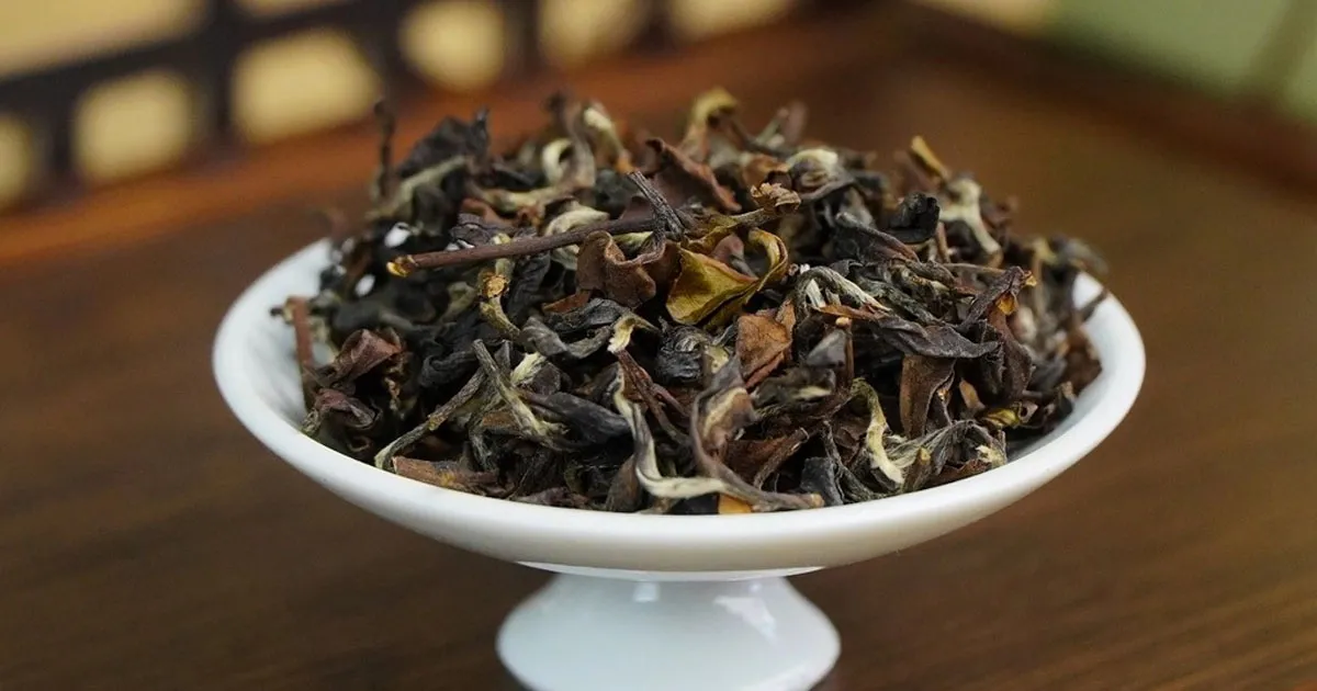 Tại Sao Trà Đông Phương Mỹ Nhân Được Xem Là “Nữ Hoàng” Của Dòng Trà Ô Long?