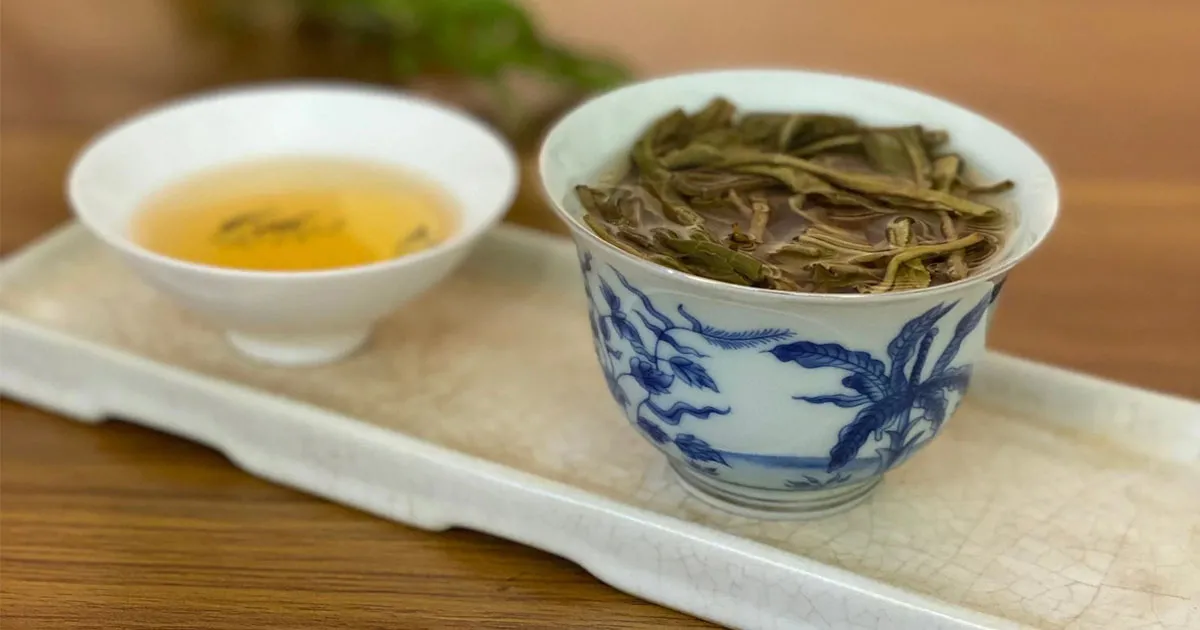 Thổ Nhưỡng Vùng Trà Vô Lượng Sơn Có Những Đặc Điểm Gì?