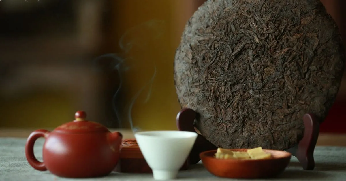 Thời Điểm Vàng Để Uống Trà Phổ Nhĩ Từ Cây Cổ Thụ Hà Giang
