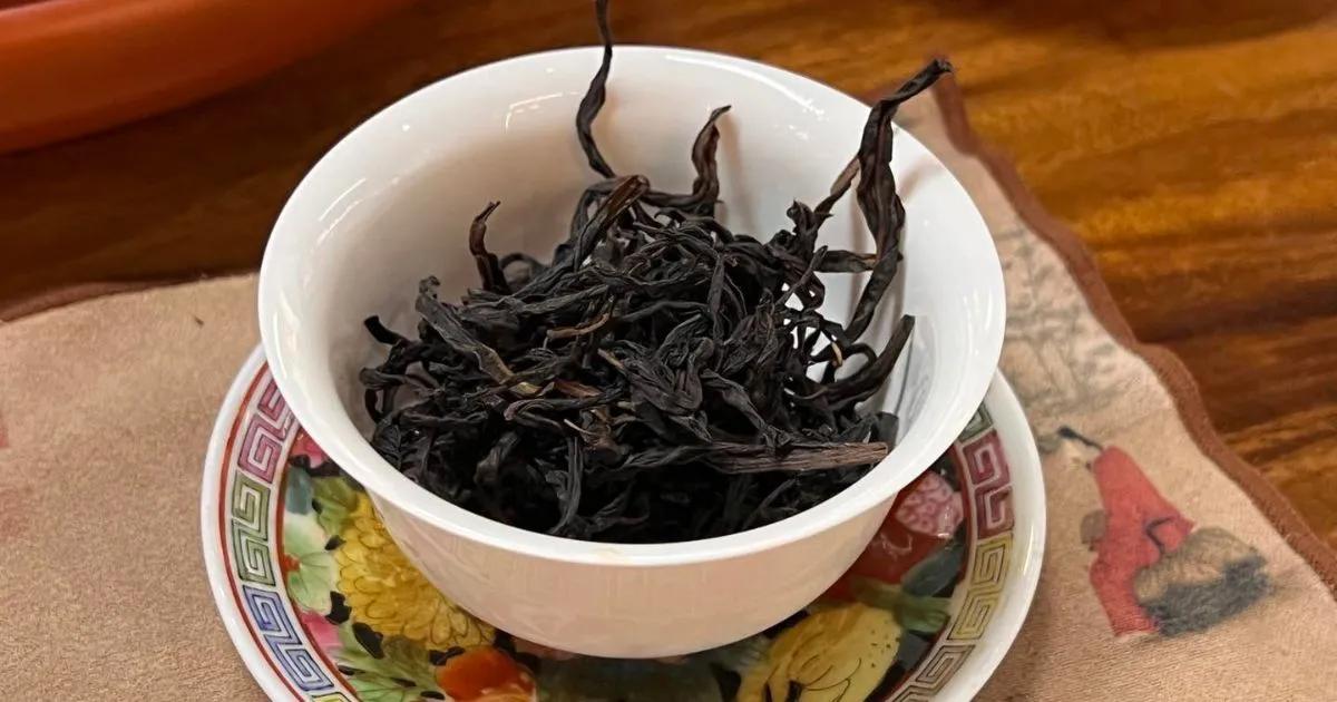 Trà Đơn Tùng Lão Bao Nhiêu Năm Là Ngon Nhất? Hướng Dẫn Chọn Tuổi Trà