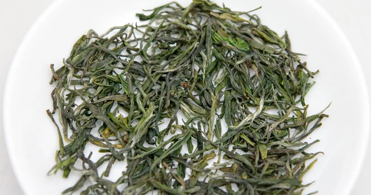Trà Mao Tiêm Tín Dương Và Giá Trị Của Danh Trà Trung Hoa