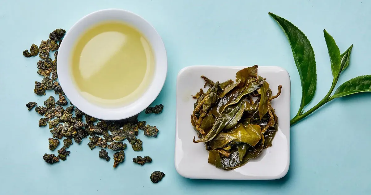 Trà Ô Long Lishan Và Những Giá Trị Sức Khỏe Được Nhiều Người Yêu Thích