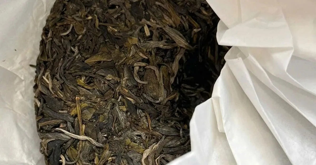 Trà Phổ Nhĩ Vô Lượng Nhất Hiệu Có Gì Đặc Biệt?