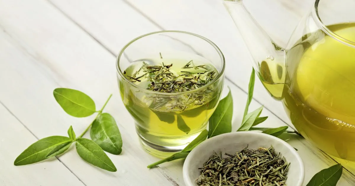Trà Xanh Mang Đến Những Lợi Ích Tuyệt Vời Cho Sức Khỏe