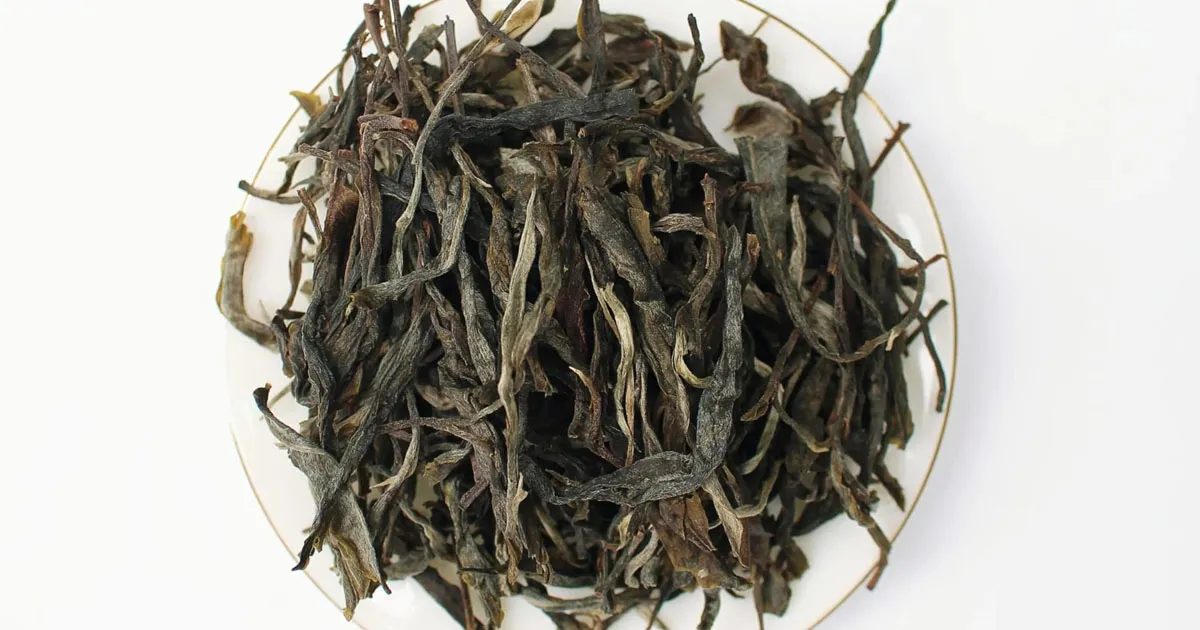 Trải Nghiệm Hương Vị Trà Phổ Nhĩ Sống Mường Khố Đại Tuyết Sơn