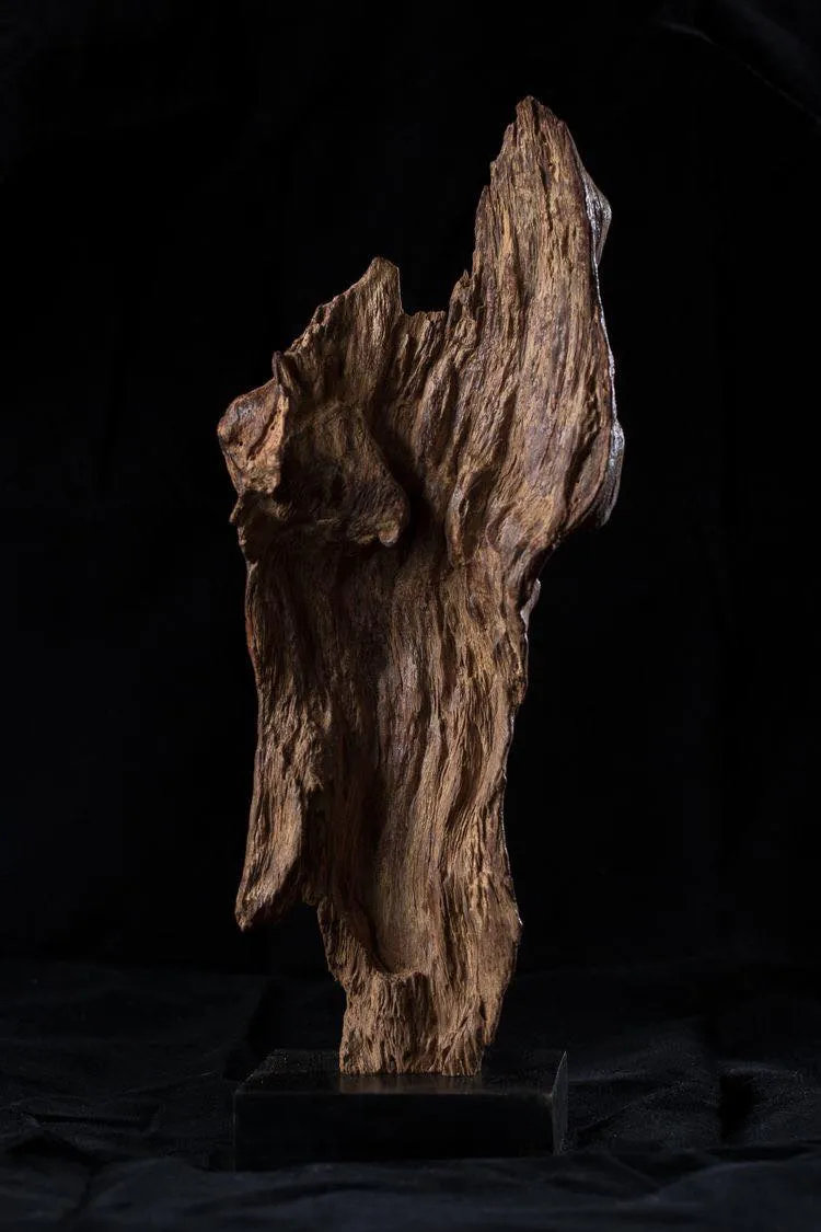 Trầm Cảnh Trang Trí