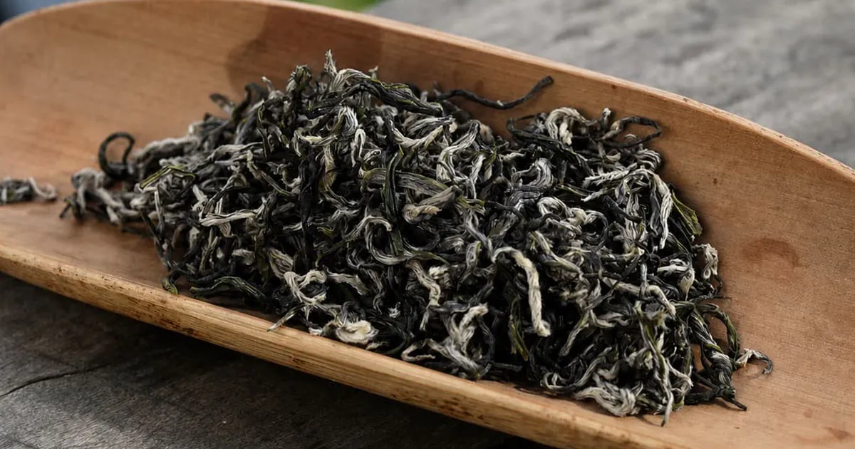 Uống Lục Trà Shan Tuyết Có Tốt Không? 5 Lợi Ích Cho Sức Khỏe