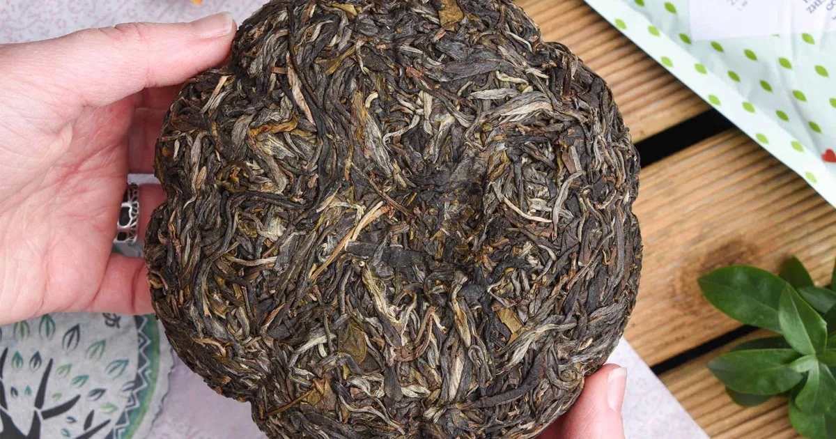 Vì Sao Giá Phổ Nhĩ Sống Cổ Thụ Lại Đắt Đỏ?