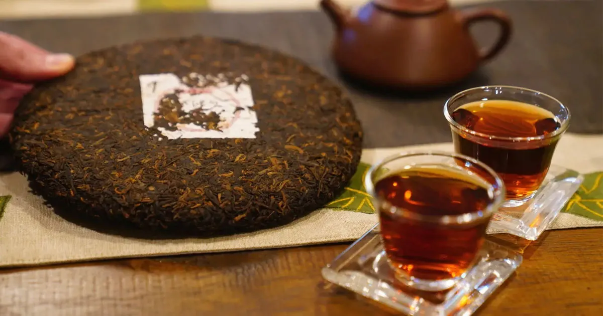 Vì Sao Phổ Nhĩ Sống Dễ Gây “Say Trà”? Cách Uống Để Không Bị Mệt, Khó Chịu