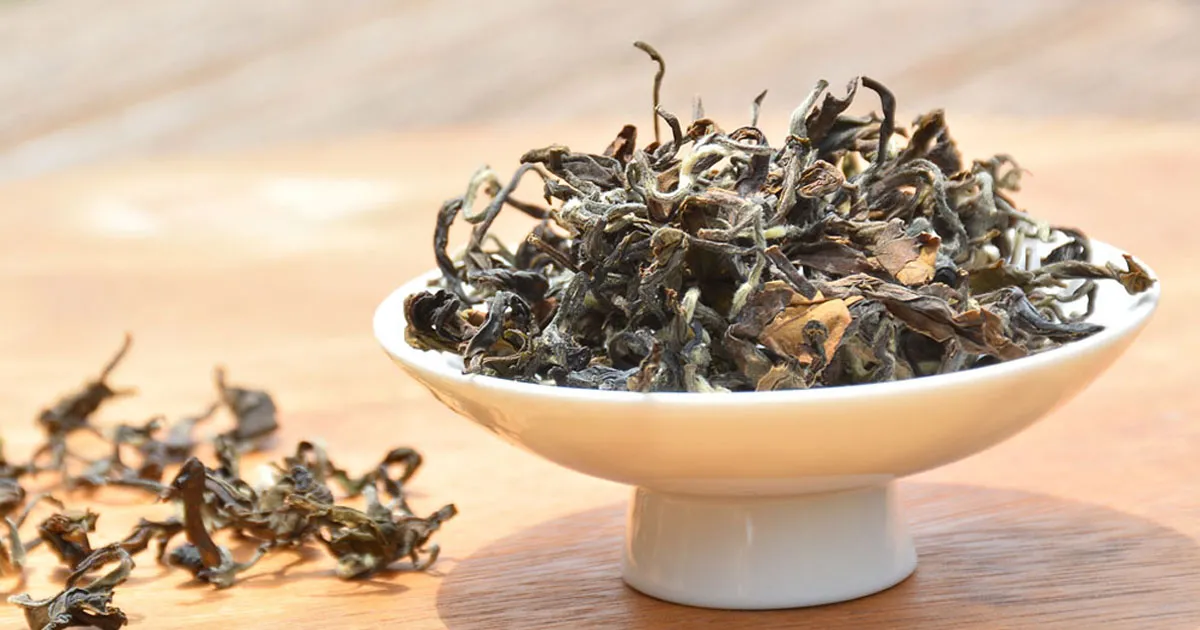 Vùng Trà Lâm Thương - Miền Đất Nuôi Dưỡng Những Búp Trà Cổ