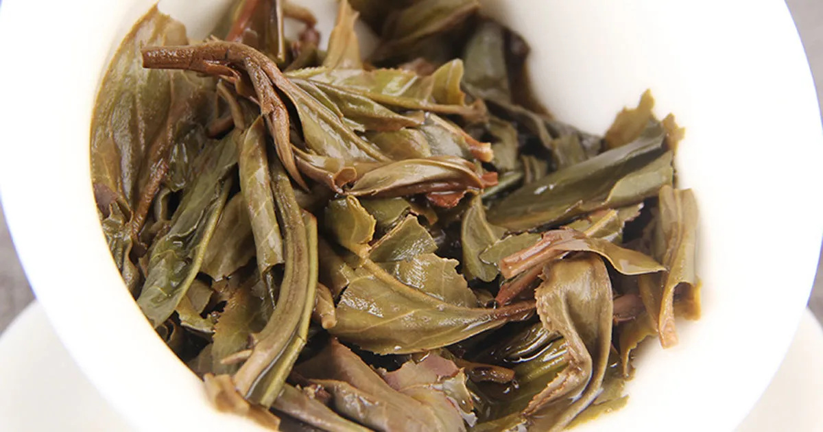 Vùng Trà Vô Lượng Sơn - Nơi Núi Rừng Tạo Nên Hương Trà Riêng