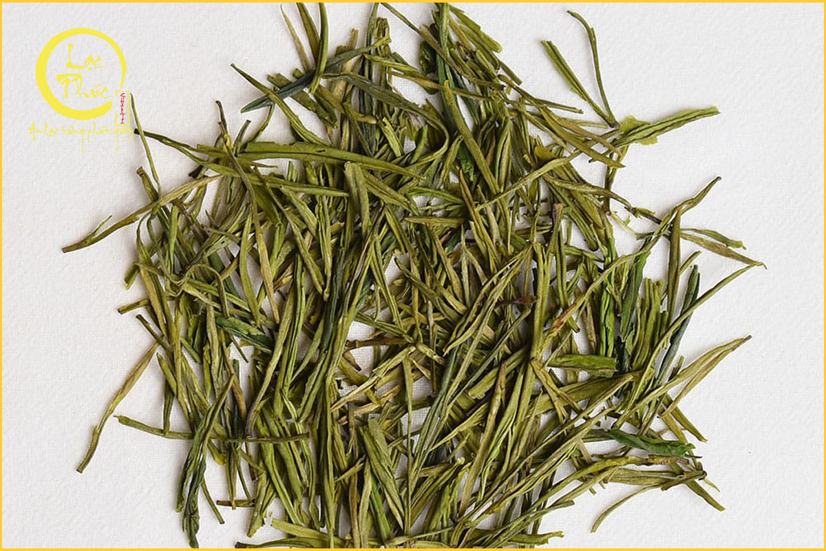 Ai nên sử dụng Bạch Trà để chăm sóc sức khỏe?