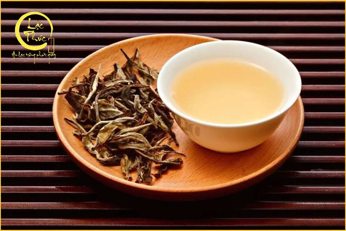 Ai nên uống bạch trà?