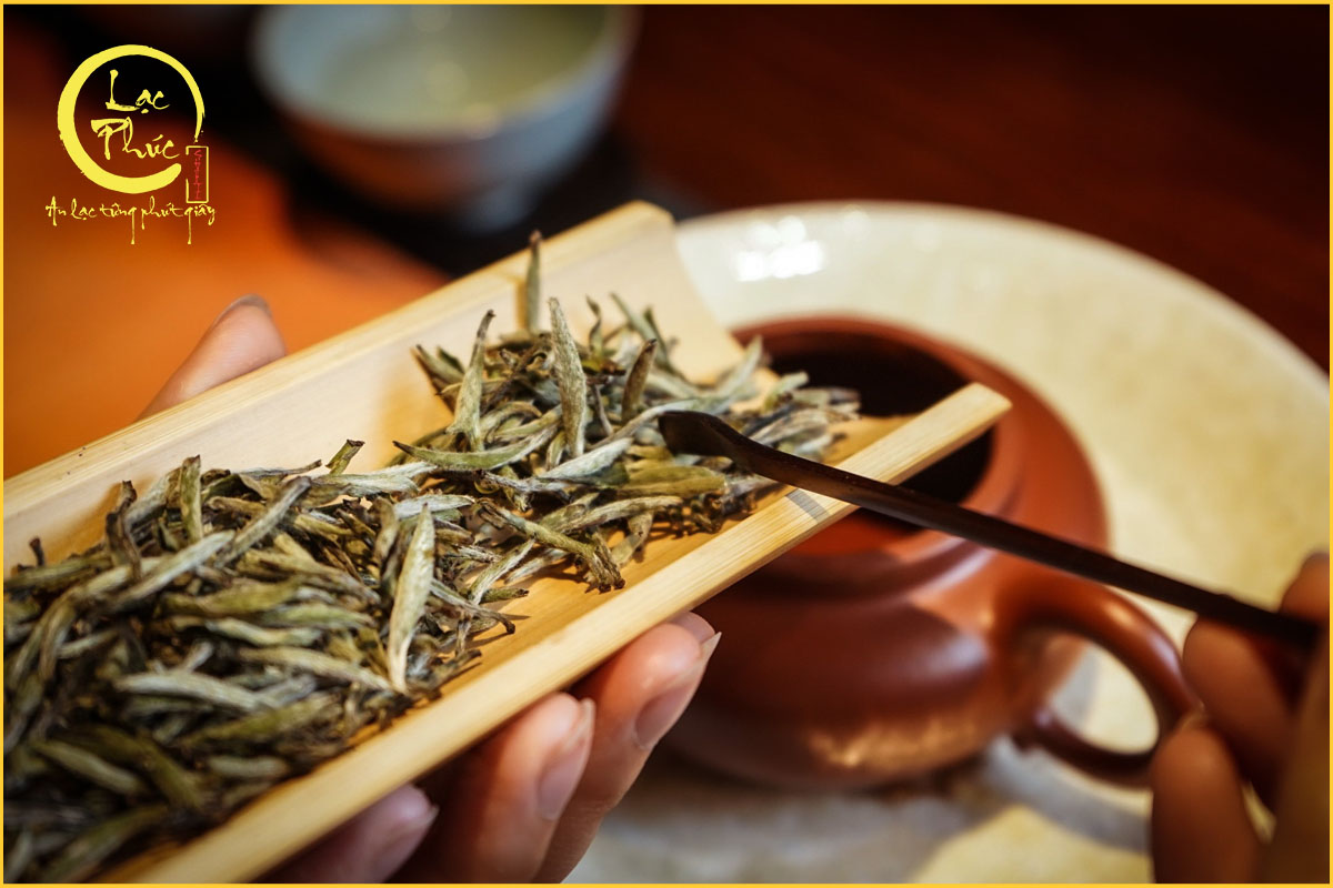 Bạch Hào Ngân Châm phù hợp với những ai?