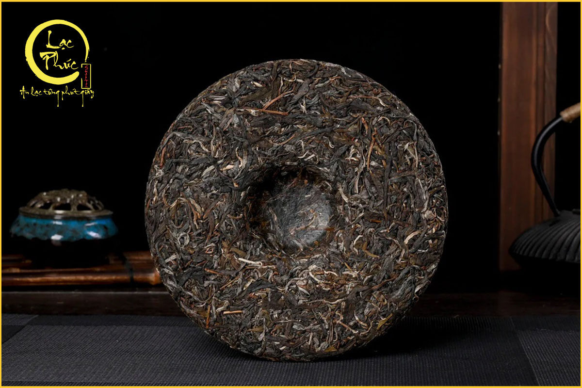 Các lưu ý khi mua và bảo quản Phổ Nhĩ Sống để ủ lâu năm