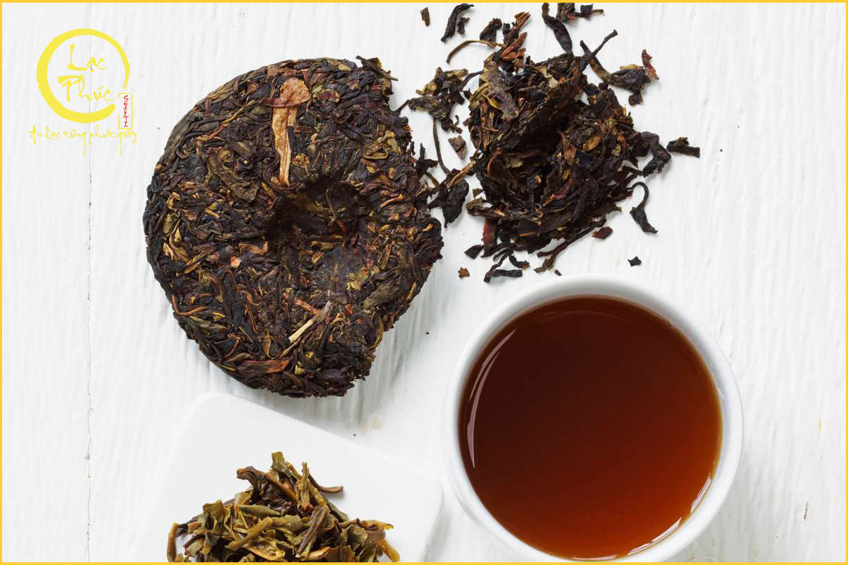 Cách lựa chọn Phổ Nhĩ Chín chất lượng