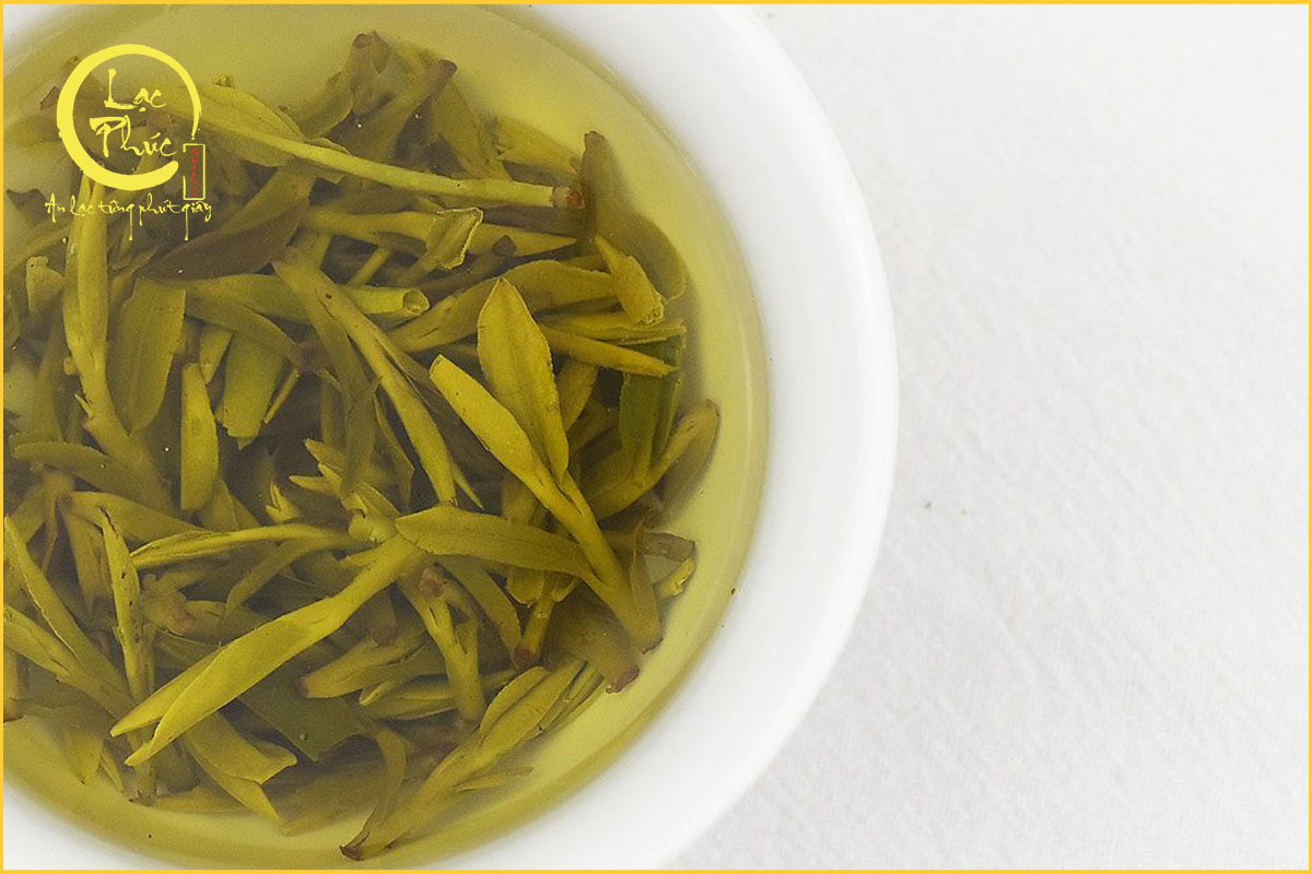 Cách pha trà Long Tỉnh Tây Hồ để cảm nhận trọn vẹn hương vị