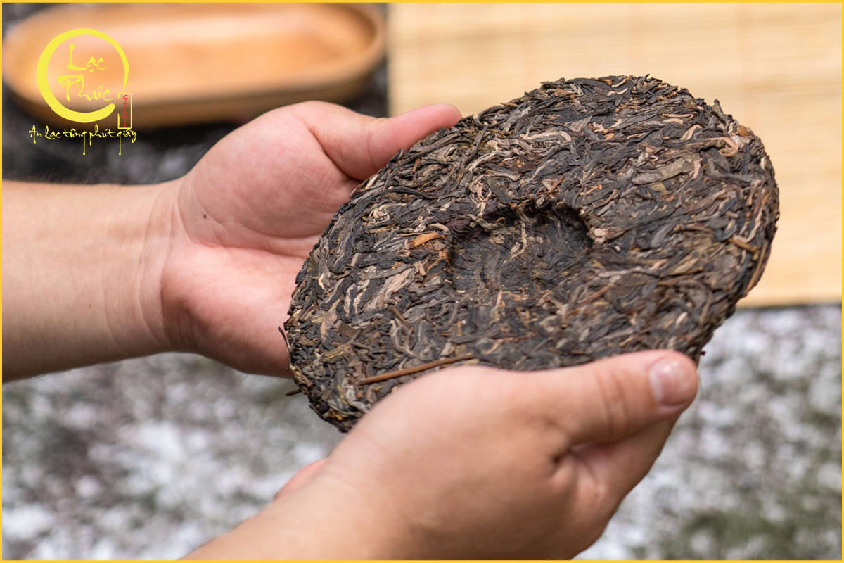Cách pha trà Phổ Nhĩ Hà Giang đúng chuẩn