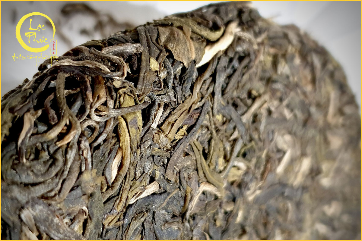Cách thưởng Trà Phổ Nhĩ sống Vô Lượng Sơn Bí Cảnh