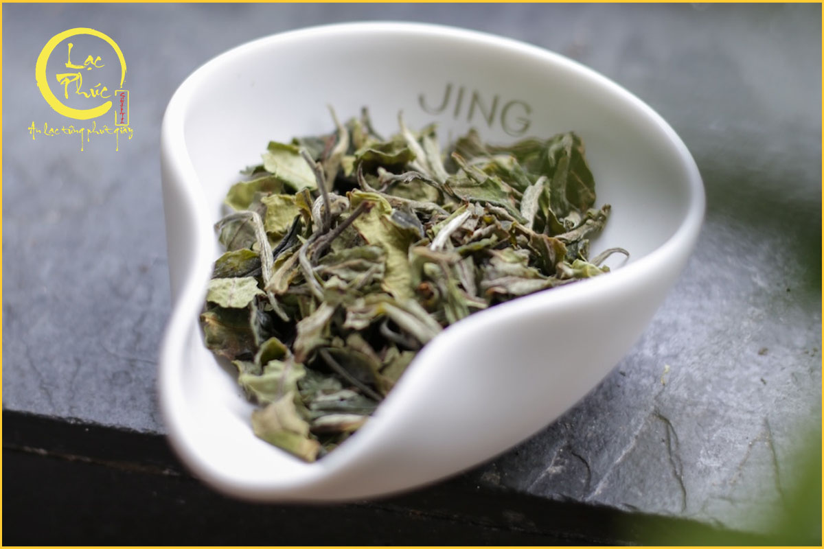 Cách uống bạch trà đúng cách để giữ trọn hương vị