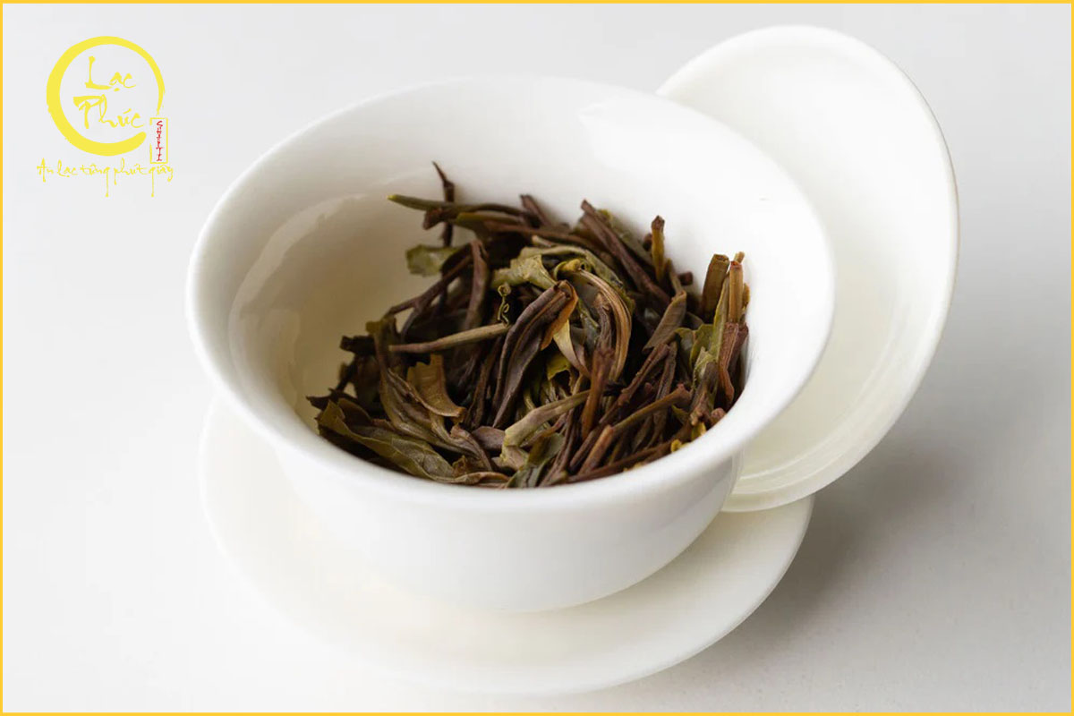 Cách uống Phổ Nhĩ Sống để không bị mệt, khó chịu